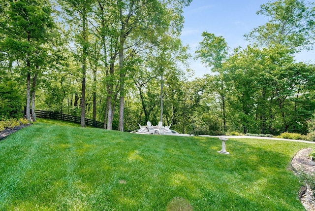 6752 Falls Ridge Ln, College Grove, TN 37046 - view of yard