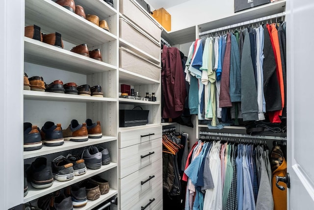 6752 Falls Ridge Ln, College Grove, TN 37046 - view of spacious closet