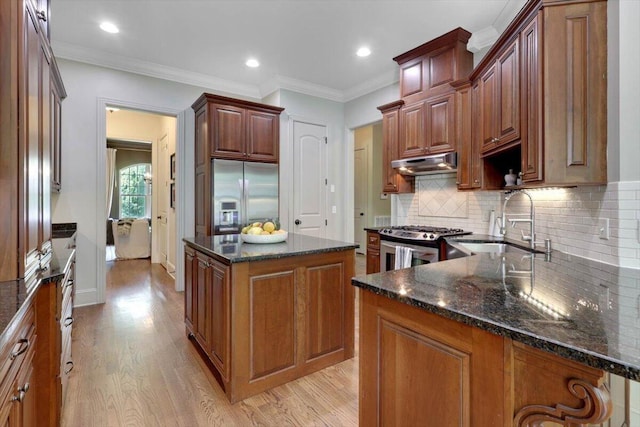 2507 Eagle Creek Way, Signal Mountain, TN 37377 - kitchen featuring stainless steel appliances, under cabinet range hood, a sink, light wood finished floors, and decorative backsplash