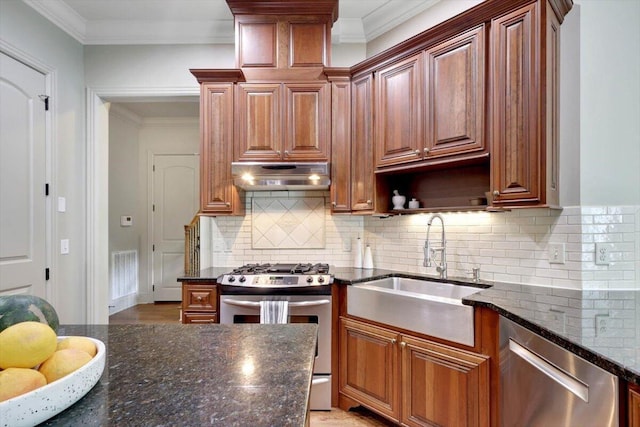 2507 Eagle Creek Way, Signal Mountain, TN 37377 - kitchen with appliances with stainless steel finishes, under cabinet range hood, a sink, crown molding, and dark stone counters
