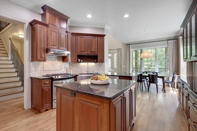 2507 Eagle Creek Way, Signal Mountain, TN 37377 - kitchen featuring gas stove, under cabinet range hood, a sink, backsplash, and light wood-type flooring