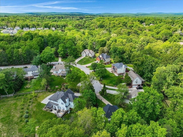 2507 Eagle Creek Way, Signal Mountain, TN 37377 - aerial overview of property's location with a forest