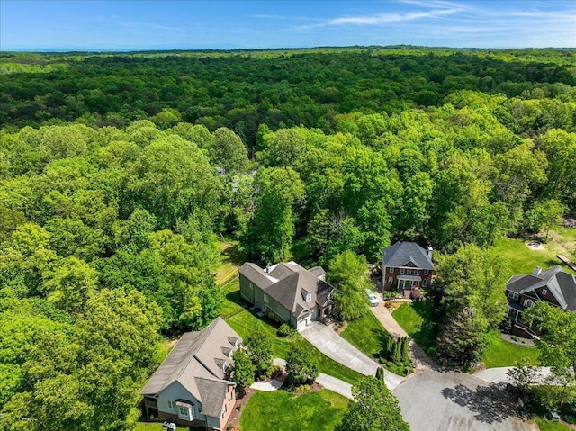 2507 Eagle Creek Way, Signal Mountain, TN 37377 - bird's eye view of a heavily wooded area