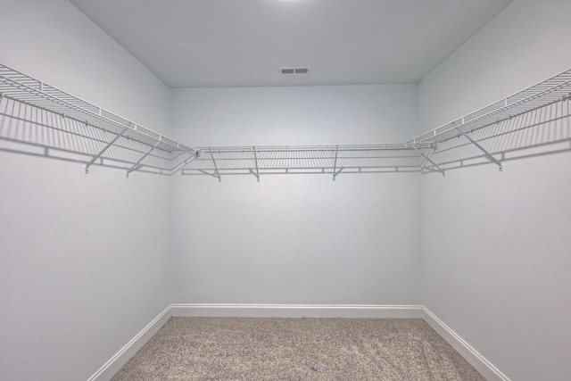 2269 Triple Crown Cir, Gallatin, TN 37066 - walk in closet with carpet floors