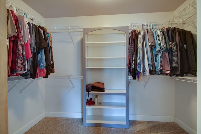 1334 Davy Crockett Dr, Murfreesboro, TN 37129 - walk in closet with carpet floors
