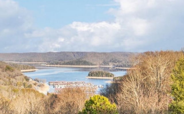7100 Dale Ridge Rd Unit A4, Lancaster, TN 38569 - water view with a heavily wooded area