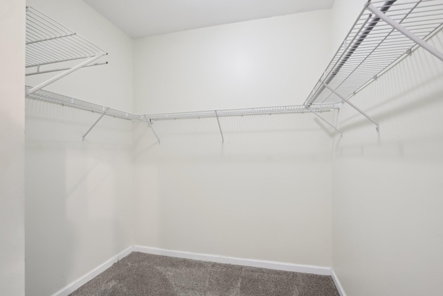 100 E Marthona Rd, Madison, TN 37115 - photo 28