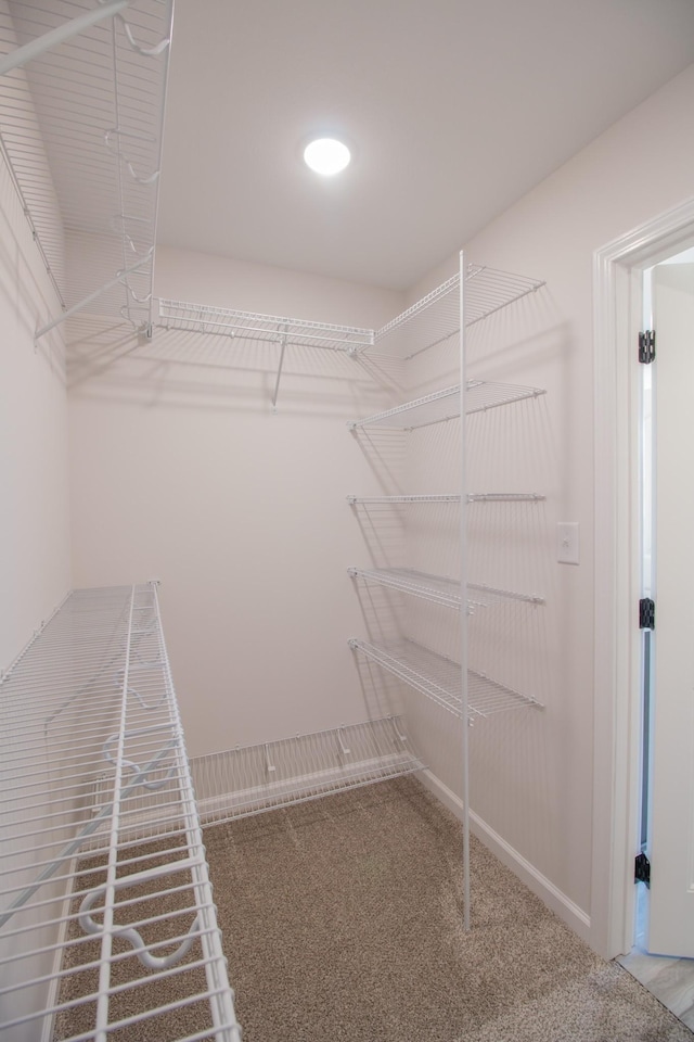 spacious closet featuring carpet