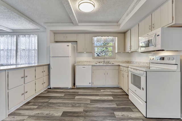 kitchen featuring white appliances, a textured ceiling, light countertops, a sink, and wood finished floors