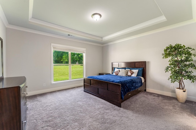 1149 Brixworth Dr, Spring Hill, TN 37174 - carpeted bedroom with a raised ceiling, baseboards, and crown molding