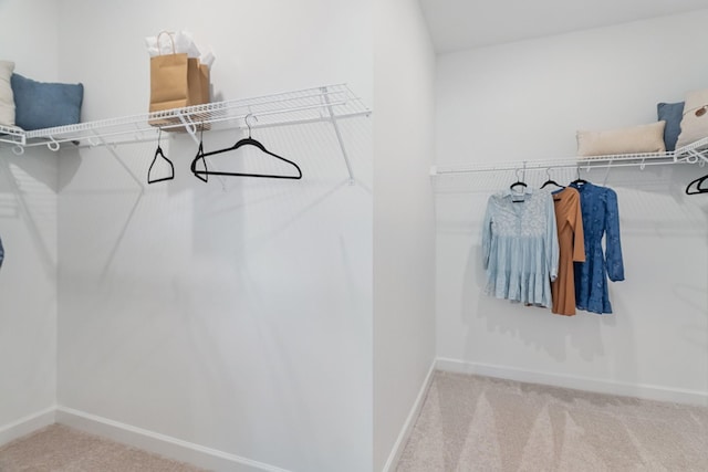 268 Subban Ct, Lebanon, TN 37087 - walk in closet featuring carpet