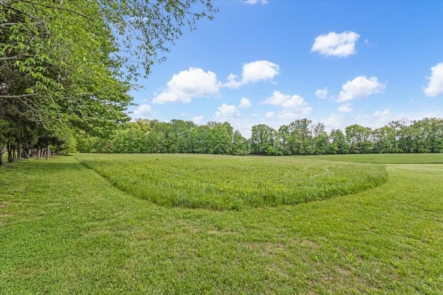 890 Akersville Rd, Lafayette, TN 37083 - view of nature