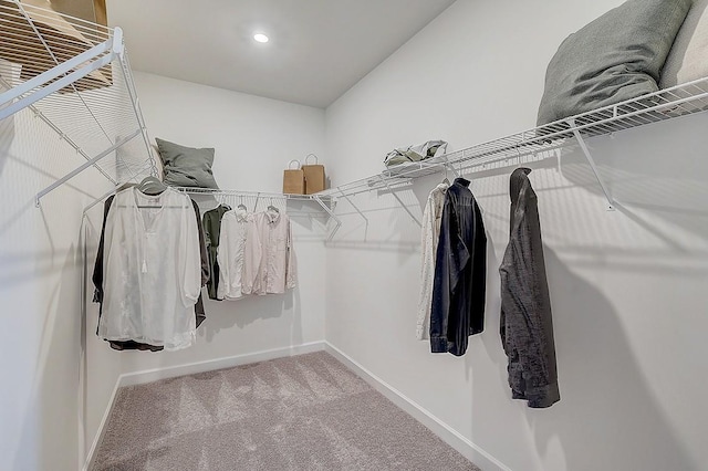 284 Subban Ct, Lebanon, TN 37087 - spacious closet featuring carpet