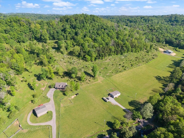 593 Gaulden Hollow Rd, Lafayette, TN 37083 - overview of rural landscape featuring a forest