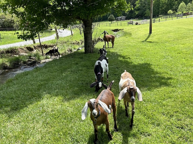 593 Gaulden Hollow Rd, Lafayette, TN 37083 - view of community featuring a view of rural / pastoral area