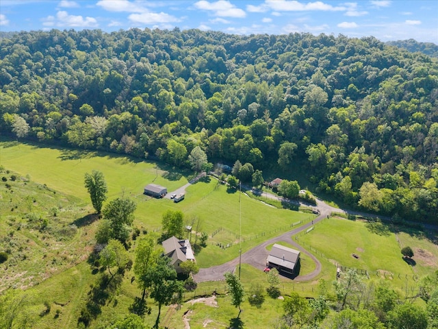 593 Gaulden Hollow Rd, Lafayette, TN 37083 - view of rural area