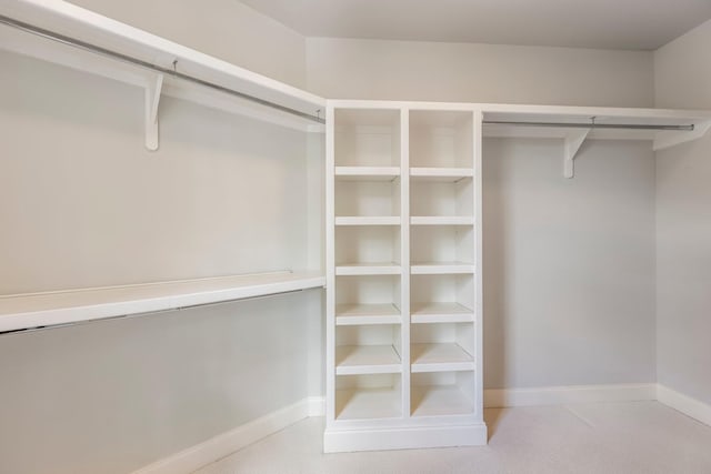 3692 Auburn Ln, Nashville, TN 37215 - view of walk in closet