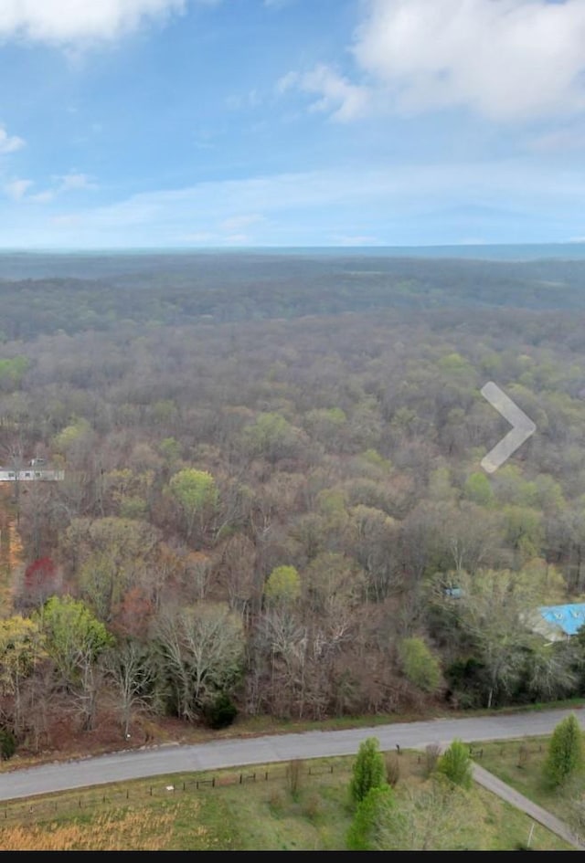0 Calvin Potts Rd, Primm Springs TN, 38476 land for sale