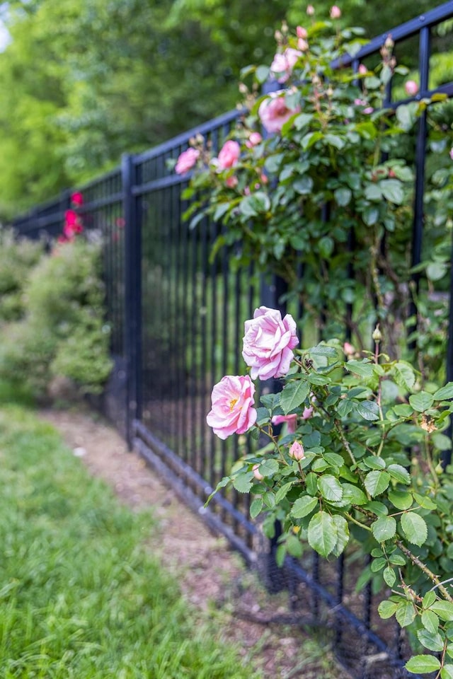 exterior view of fence