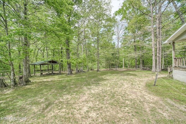 6756 Old State Highway 111, Spencer, TN 38585 - view of yard