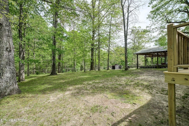 6756 Old State Highway 111, Spencer, TN 38585 - view of yard with an outbuilding
