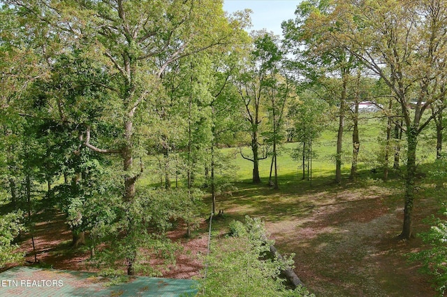 6756 Old State Highway 111, Spencer, TN 38585 - view of nature