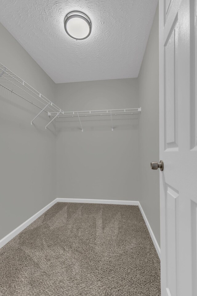 8116 Valley Oak Dr, Brentwood, TN 37027 - photo 19