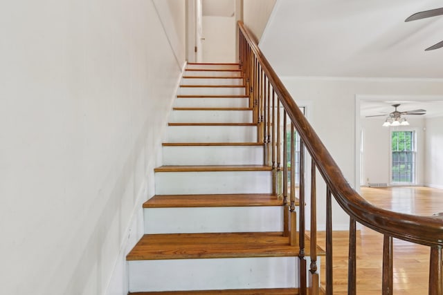 111 Lois Ln, Clarksville, TN 37043 - stairs with ceiling fan, wood finished floors, and ornamental molding