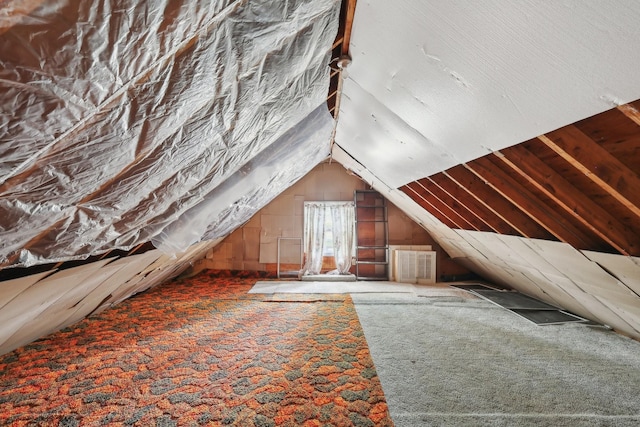 111 Lois Ln, Clarksville, TN 37043 - view of unfinished attic