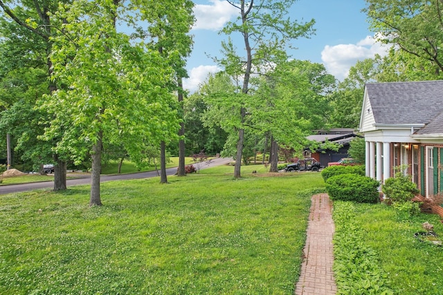 111 Lois Ln, Clarksville, TN 37043 - view of green lawn