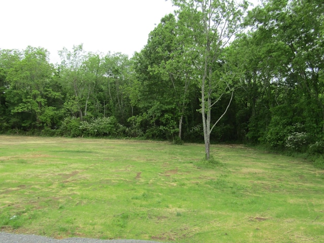 306 Ostella Rd, Cornersville, TN 37047 - photo 5