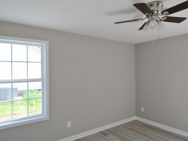 306 Ostella Rd, Cornersville, TN 37047 - photo 16