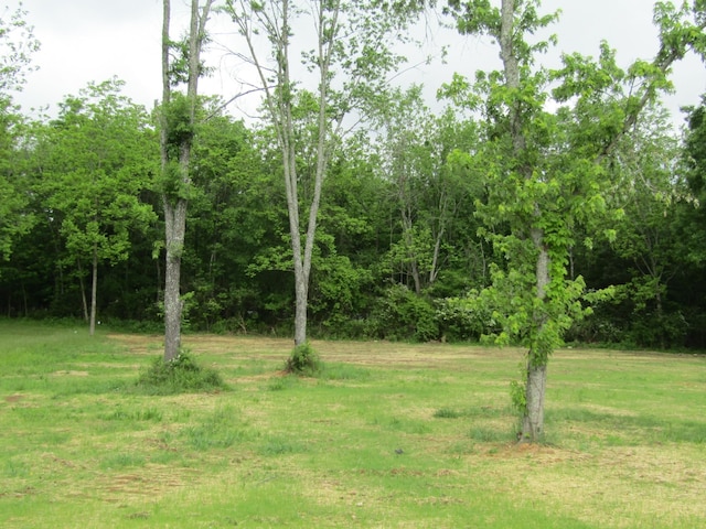 308 Ostella Rd, Cornersville, TN 37047 - photo 8