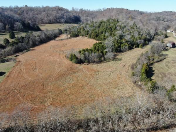 0 Diana Ridge Rd, Pulaski, TN 38478 - photo 1