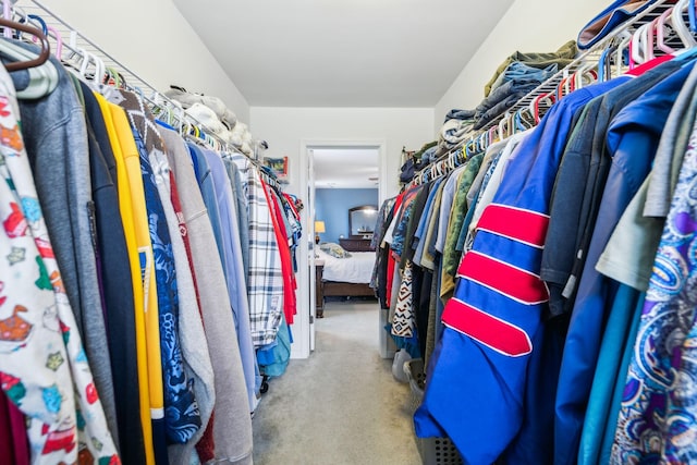 spacious closet featuring carpet