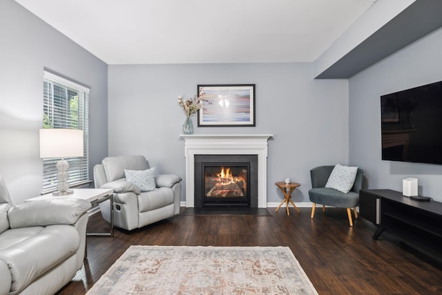living room with wood finished floors and a fireplace with flush hearth