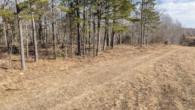 257 Saddlebrook Dr, Hohenwald, TN 38462