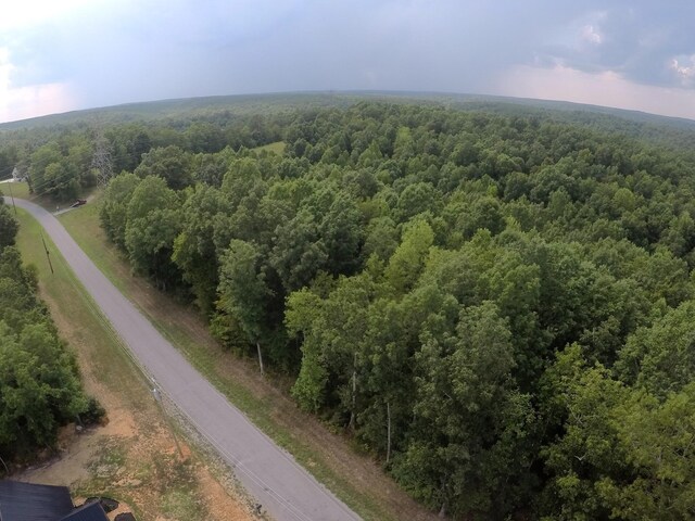 257 Saddlebrook Dr, Hohenwald, TN 38462