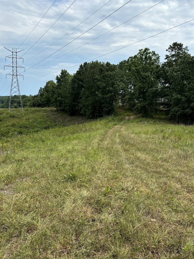 257 Saddlebrook Dr, Hohenwald, TN 38462