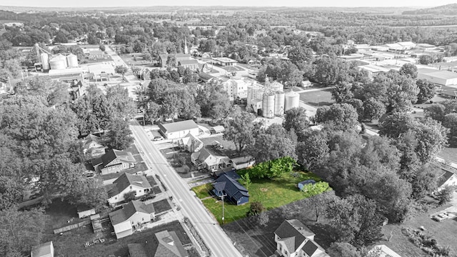 204 Wilson Ave, Auburn, KY 42206 - aerial view of residential area