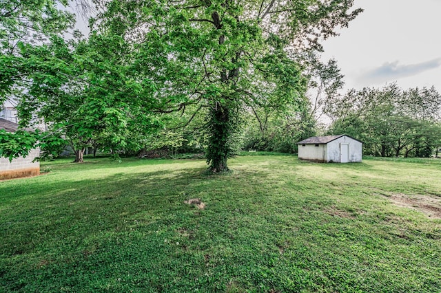 204 Wilson Ave, Auburn, KY 42206 - view of grassy yard with a storage unit and an outdoor structure