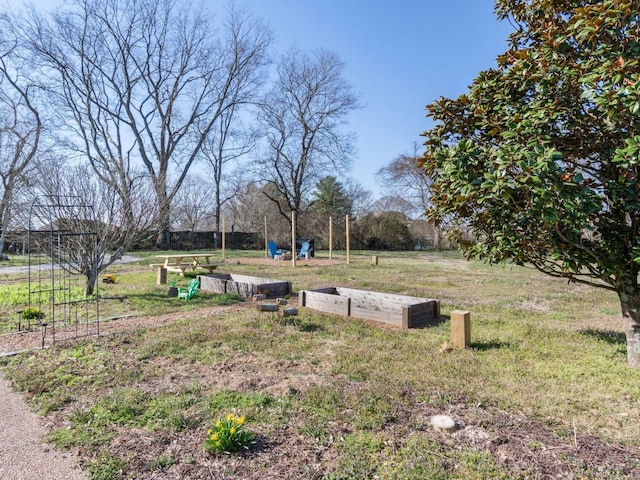 view of grassy yard