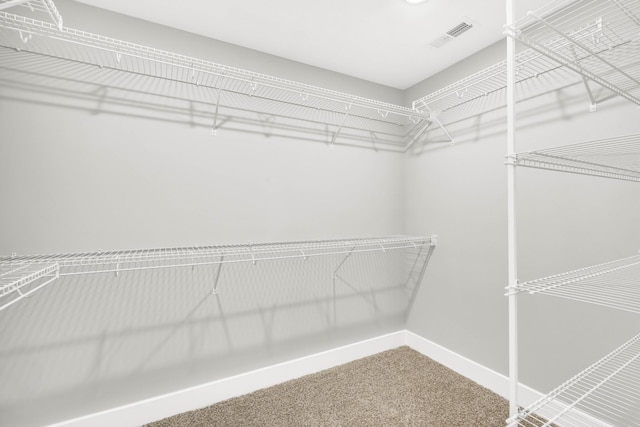 614 Woodrush Dr, Clarksville, TN 37040 - spacious closet with carpet flooring