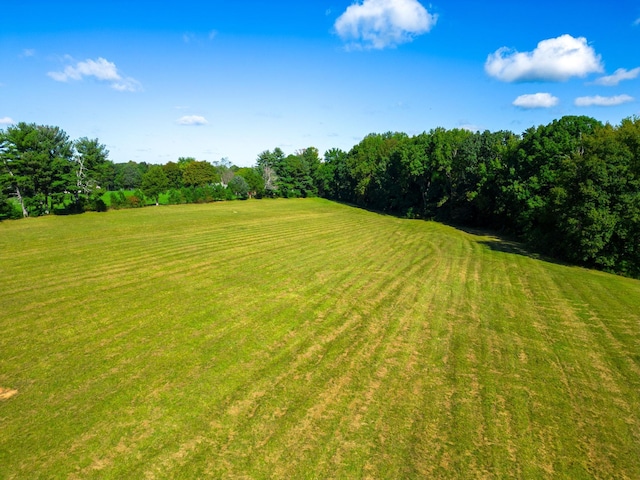 6816 Bethel Rd, Greenbrier, TN 37073 - photo 16