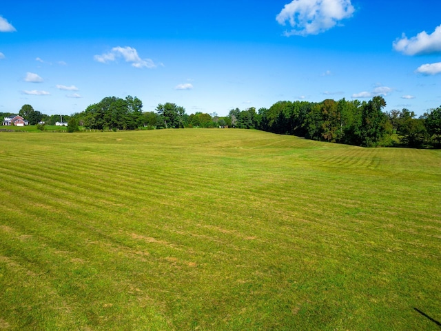 6816 Bethel Rd, Greenbrier, TN 37073 - photo 15