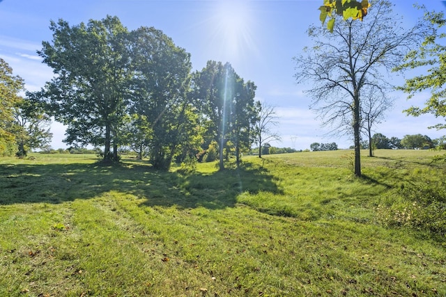 6816 Bethel Rd, Greenbrier, TN 37073 - photo 28