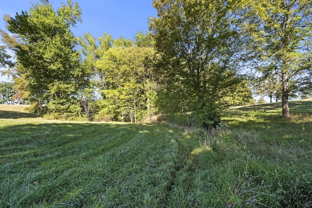 6816 Bethel Rd, Greenbrier, TN 37073 - photo 29