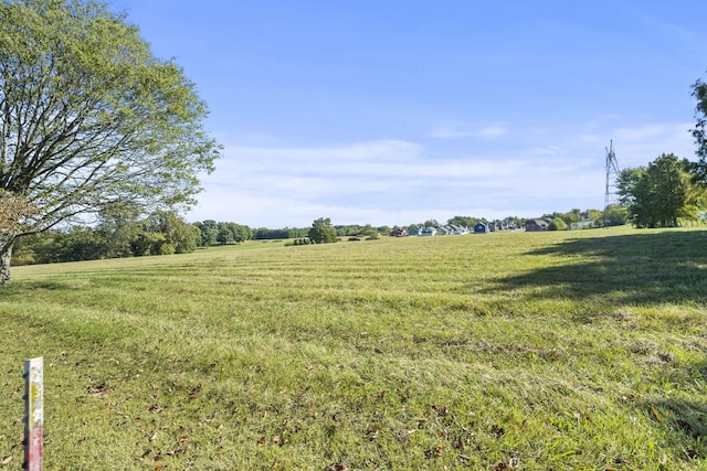 6816 Bethel Rd, Greenbrier, TN 37073 - photo 32