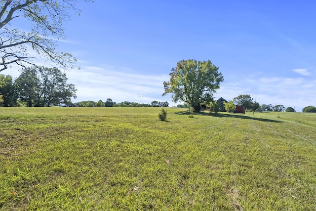 6816 Bethel Rd, Greenbrier, TN 37073 - photo 30