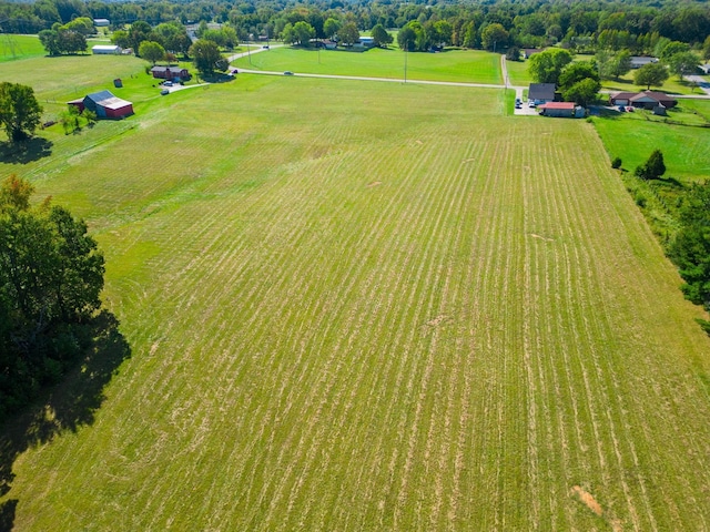6816 Bethel Rd, Greenbrier, TN 37073 - photo 9